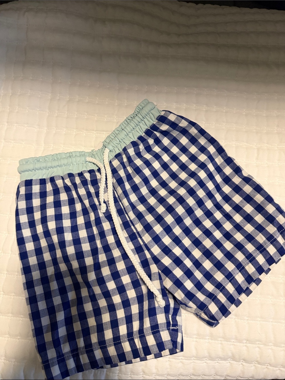Boy’s  Blue Check Gingham Swim Shorts with Mint Waistband